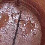 IMG-20190918-WA0062