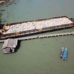 IMG_20200308_180559