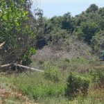IMG_20230504_155737