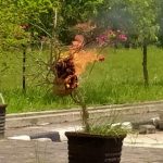 IMG_20230710_151454