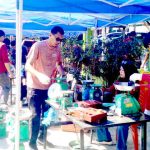 IMG_20260811_124023