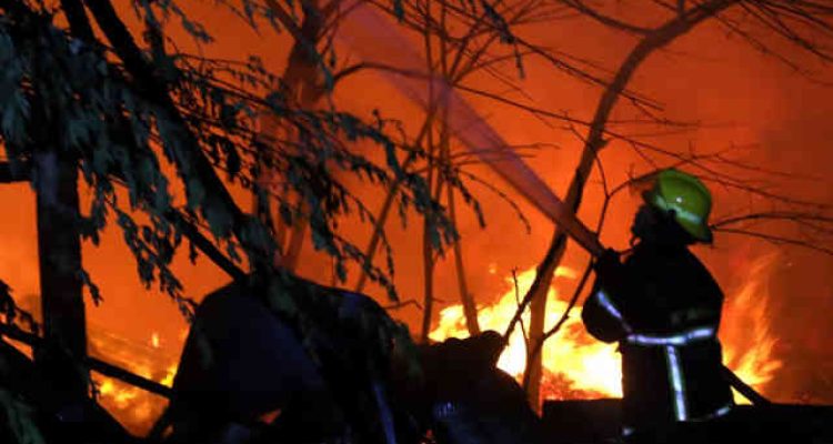 Kebakaran Lahan dan Hutan. Foto: Ist