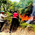 Kebakaran lahan di Dompak Tanjungpinang. Foto: Ist