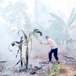 Kebakaran lahan kosong. Foto: Ist