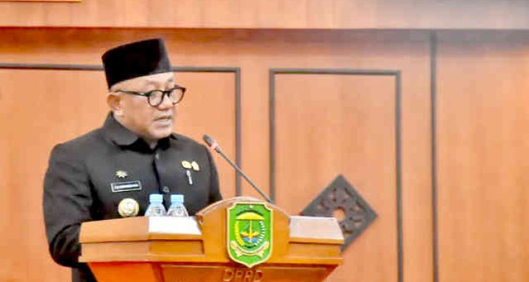 Walikota Tanjungpinang Lis Darmansyah. Foto: Ist